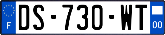 DS-730-WT