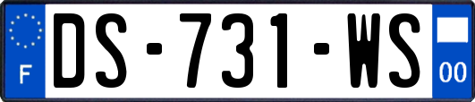 DS-731-WS