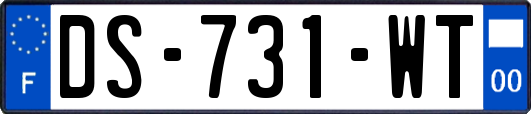 DS-731-WT