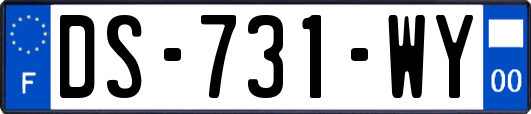 DS-731-WY