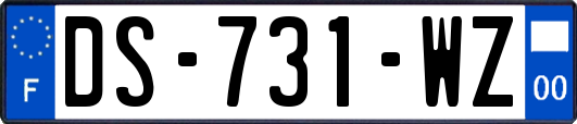 DS-731-WZ