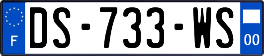 DS-733-WS
