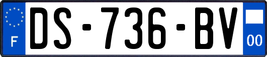 DS-736-BV