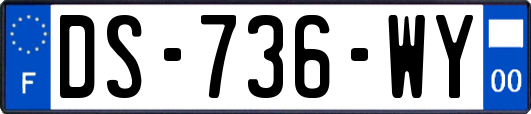 DS-736-WY