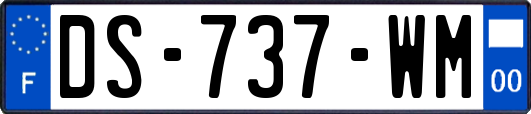 DS-737-WM