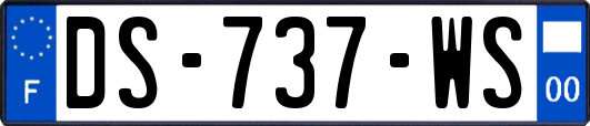 DS-737-WS