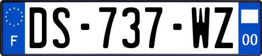 DS-737-WZ