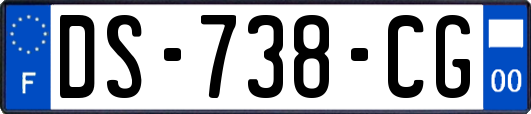 DS-738-CG