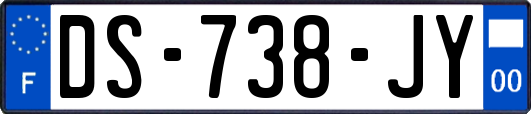 DS-738-JY