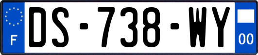 DS-738-WY