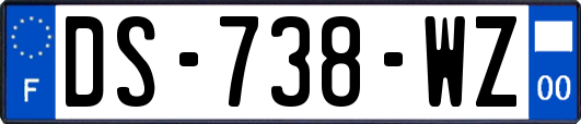 DS-738-WZ