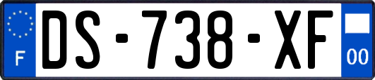 DS-738-XF