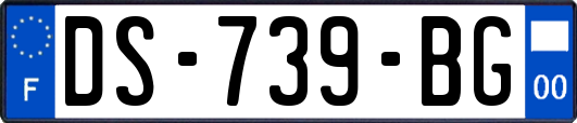 DS-739-BG