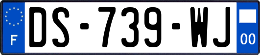 DS-739-WJ