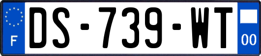 DS-739-WT