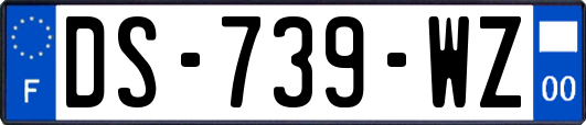 DS-739-WZ