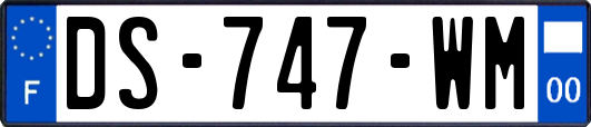 DS-747-WM
