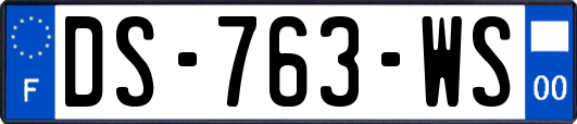 DS-763-WS