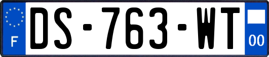 DS-763-WT