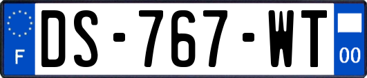 DS-767-WT