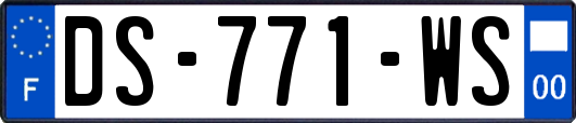 DS-771-WS