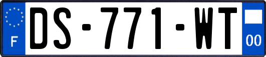 DS-771-WT