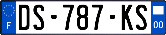 DS-787-KS