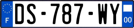 DS-787-WY
