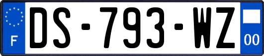 DS-793-WZ