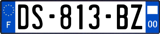 DS-813-BZ