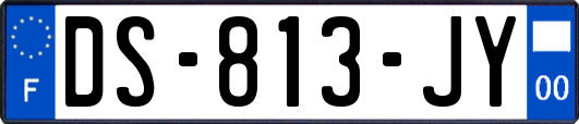DS-813-JY