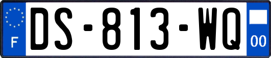 DS-813-WQ