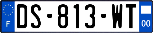DS-813-WT