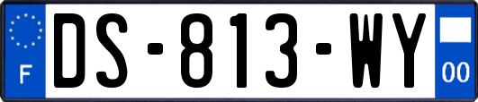 DS-813-WY