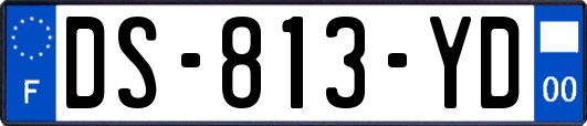 DS-813-YD