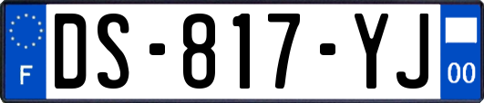 DS-817-YJ