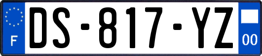 DS-817-YZ