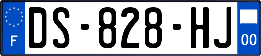 DS-828-HJ