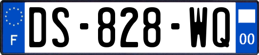 DS-828-WQ