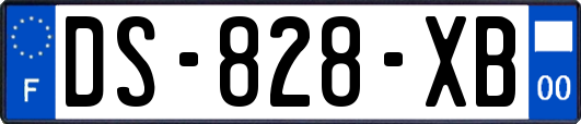 DS-828-XB