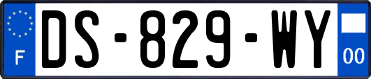 DS-829-WY