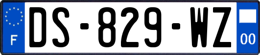 DS-829-WZ
