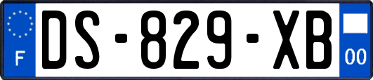DS-829-XB