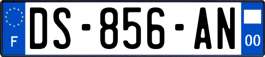 DS-856-AN