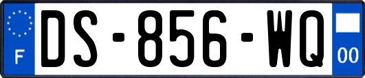 DS-856-WQ