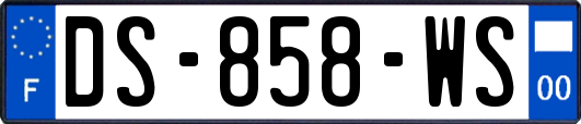 DS-858-WS