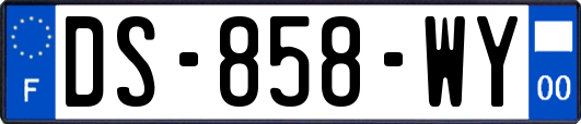 DS-858-WY