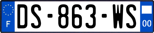 DS-863-WS