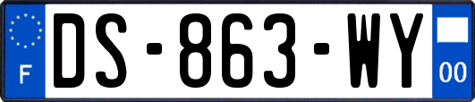 DS-863-WY