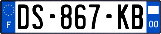 DS-867-KB